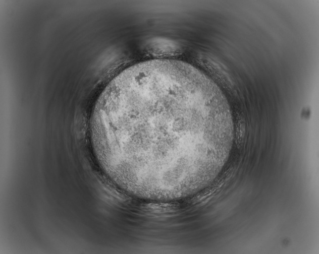 X0000097900367200804041443