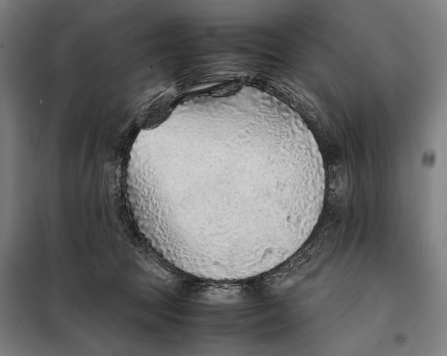 X0000097900369200804041443