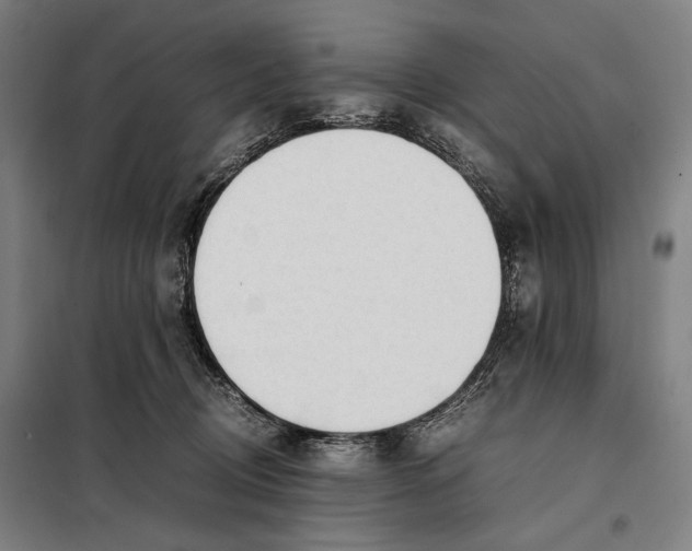 X0000097900370200804041443