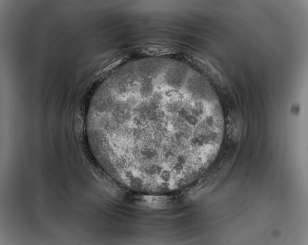 X0000097900371200804041443