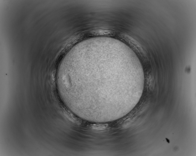 X0000097900373200804041443