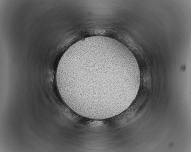 X0000097900374200804041443