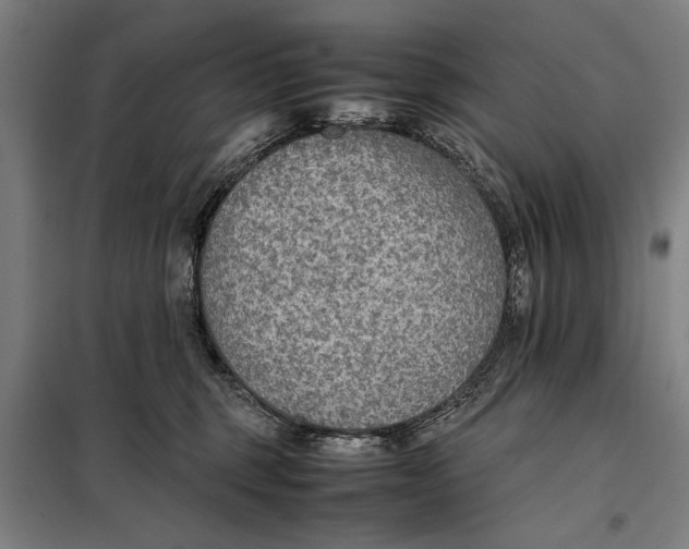 X0000097900375200804041443