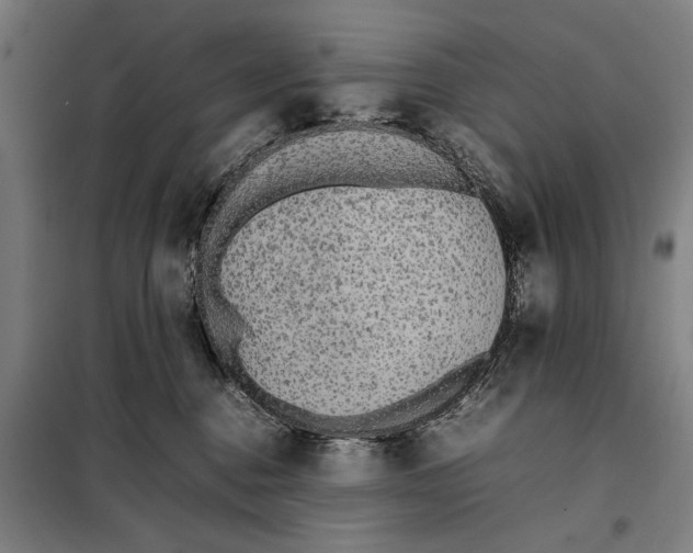 X0000097900376200804041443