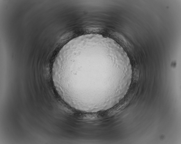 X0000097900377200804041443