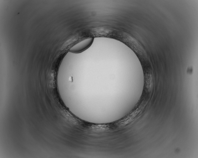 X0000097900378200804041443