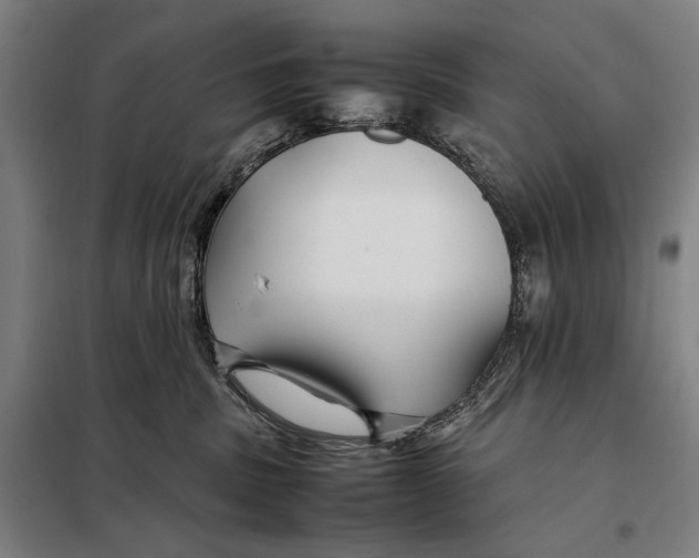 X0000097900379200804041443