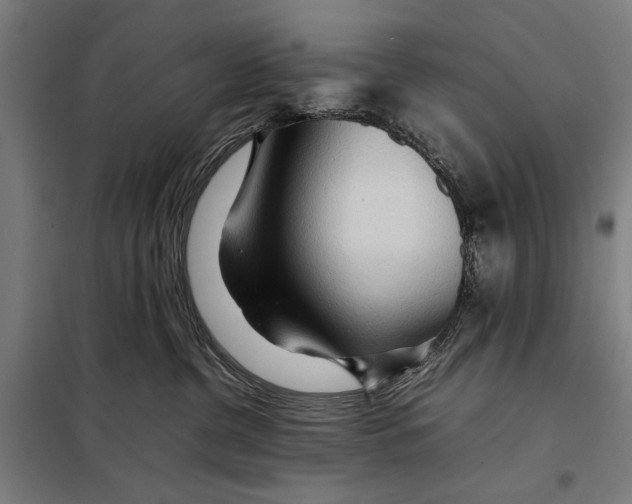 X0000097900380200804041443