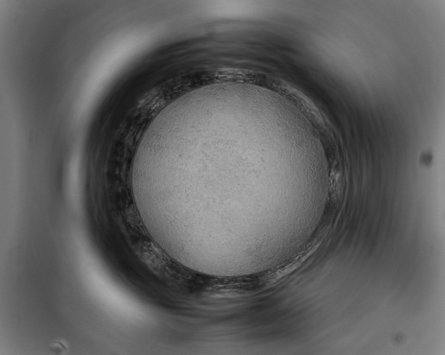 X0000097900381200804041443