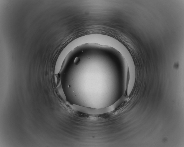 X0000097900382200804041443