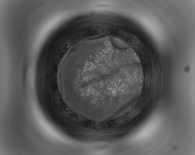 X0000097900383200804041443