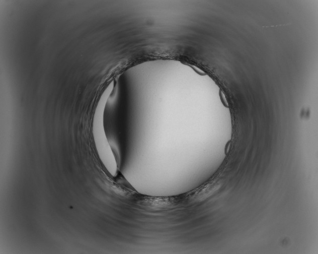 X0000097900384200804041443