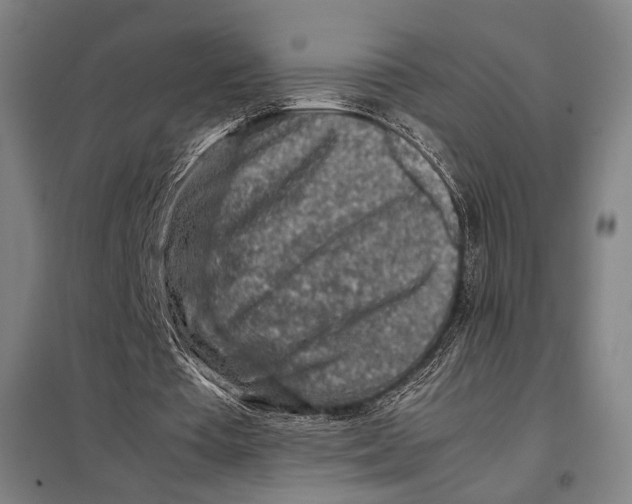 X0000097900385200804041442