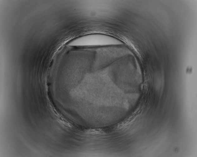 X0000097900386200804041442