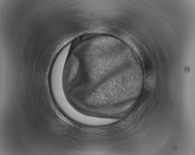 X0000097900389200804041442