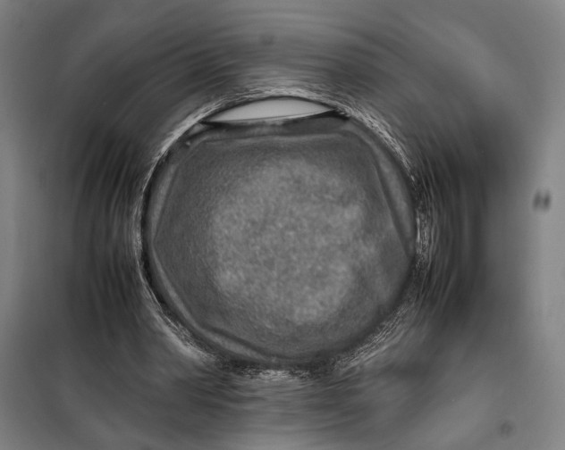 X0000097900390200804041442