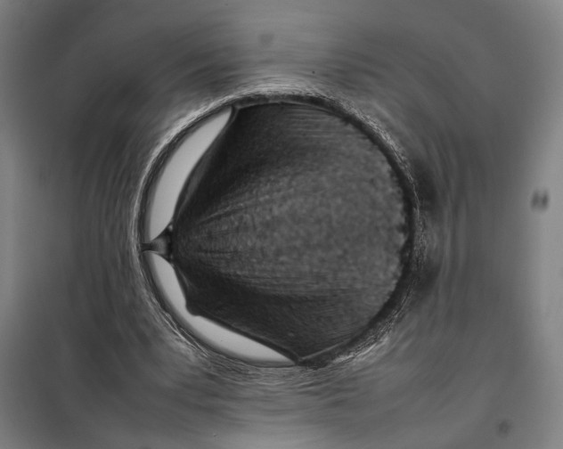 X0000097900391200804041442