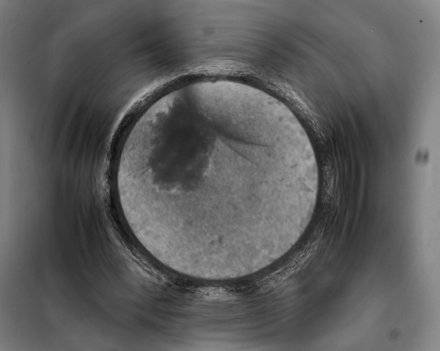 X0000097900392200804041442