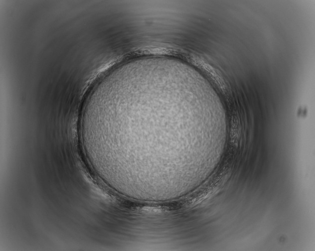 X0000097900394200804041442