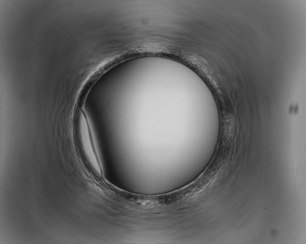 X0000097900395200804041442