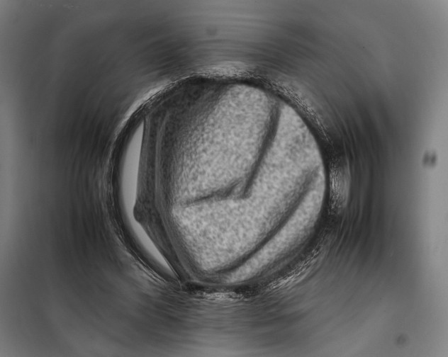 X0000097900396200804041442