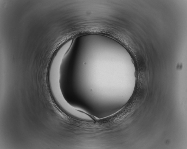 X0000097900397200804041442