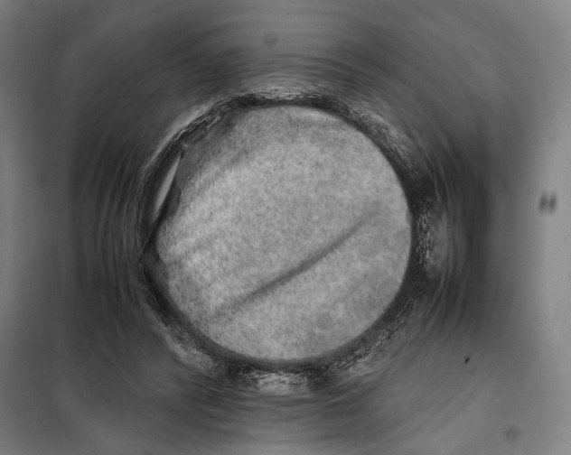 X0000097900400200804041442