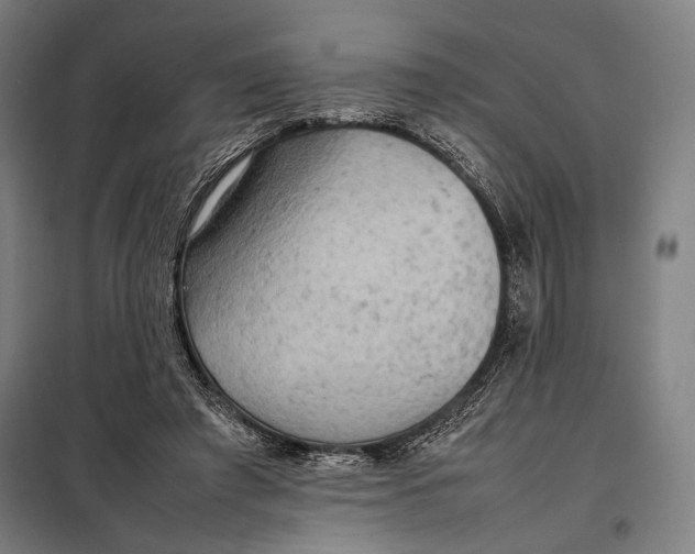 X0000097900401200804041442