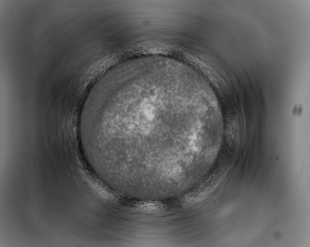 X0000097900402200804041442