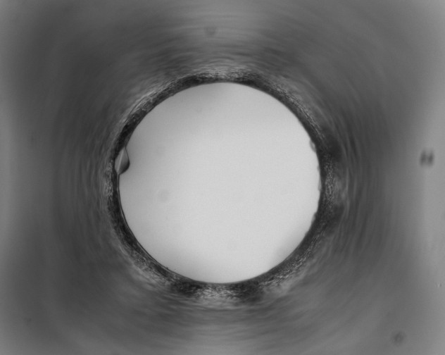 X0000097900403200804041442