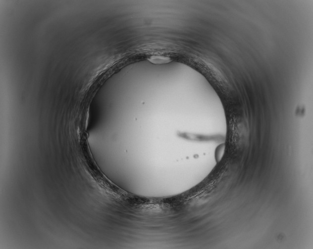 X0000097900404200804041442