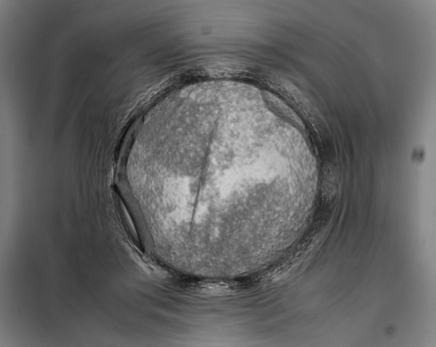 X0000097900405200804041442