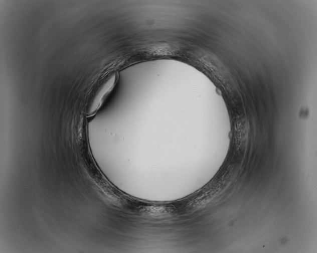 X0000097900406200804041442