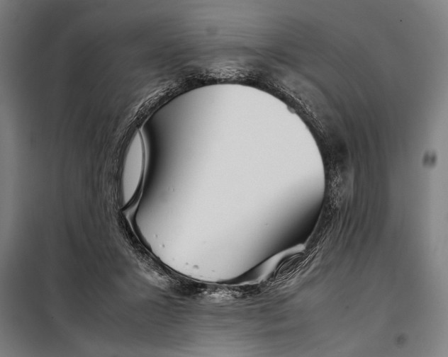 X0000097900407200804041442