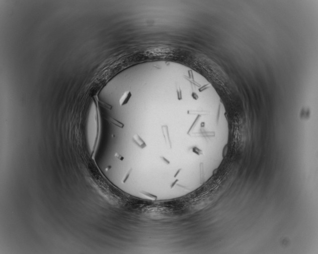 X0000097900408200804041442