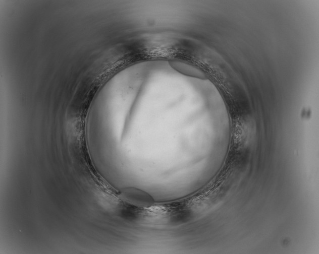 X0000097900409200804041442