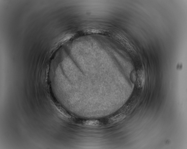 X0000097900410200804041442