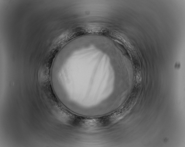 X0000097900411200804041442