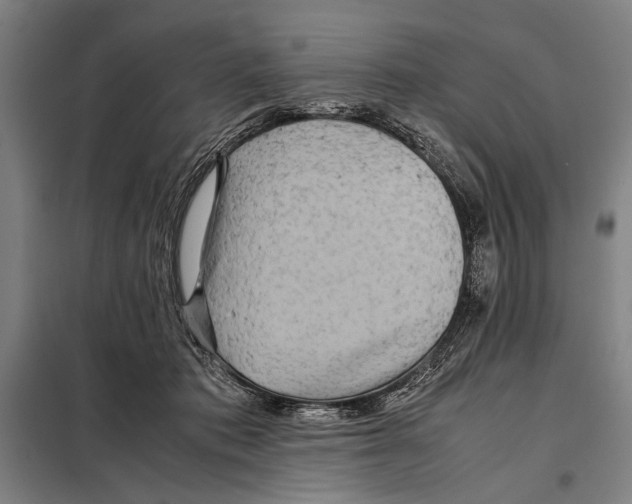 X0000097900413200804041442