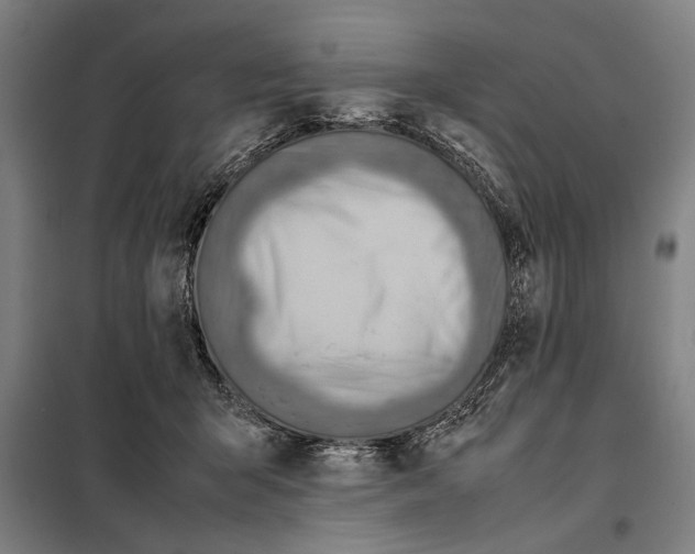 X0000097900415200804041442