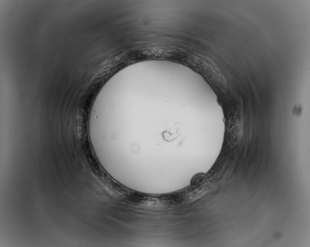 X0000097900416200804041442