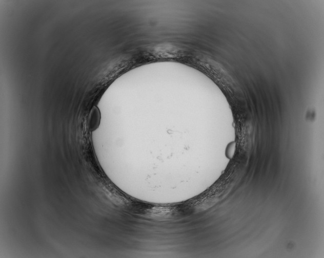 X0000097900418200804041442