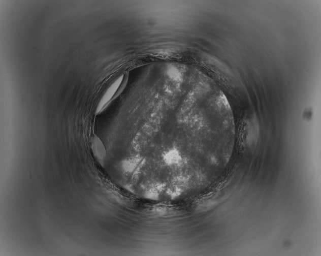 X0000097900420200804041442