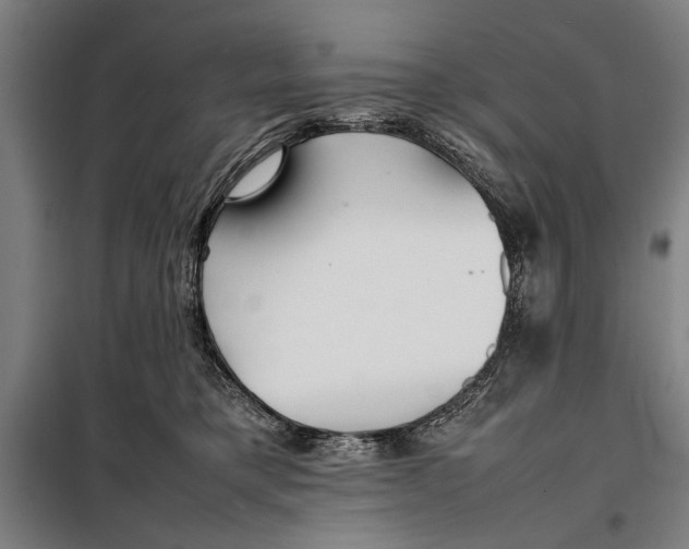 X0000097900421200804041442