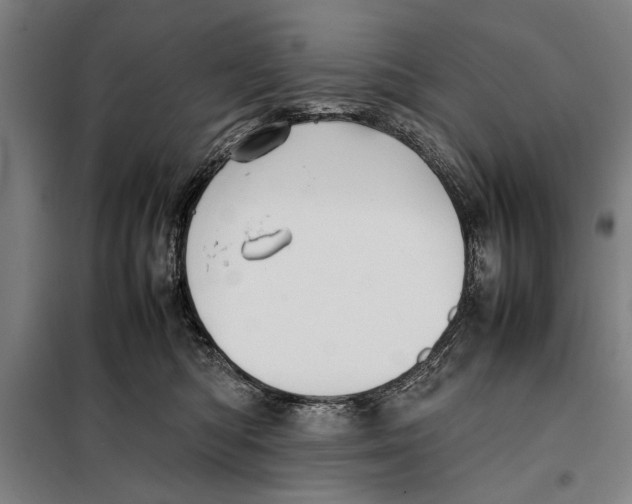 X0000097900422200804041442