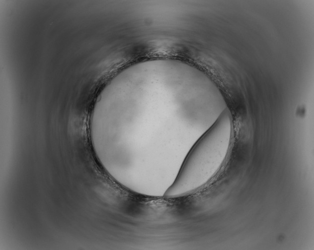 X0000097900423200804041442