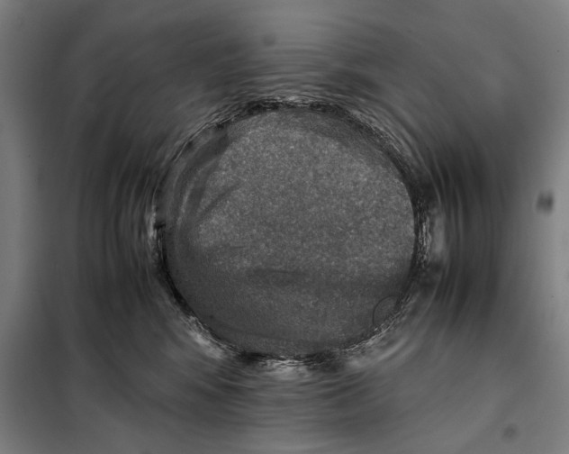 X0000097900424200804041442