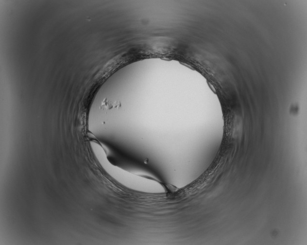 X0000097900425200804041442