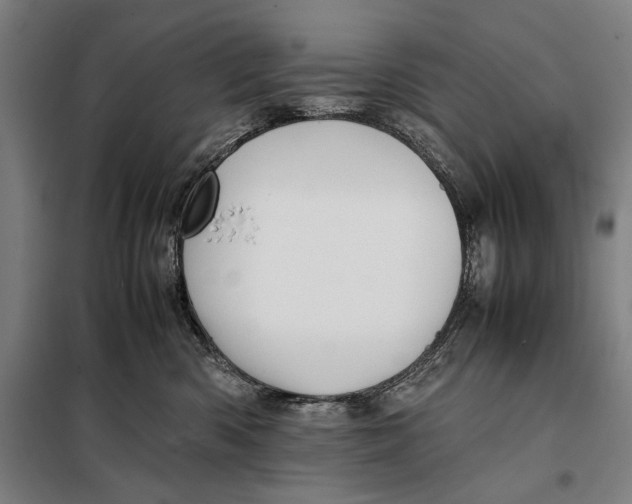 X0000097900426200804041442