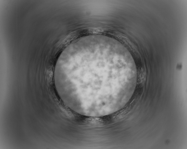 X0000097900427200804041442